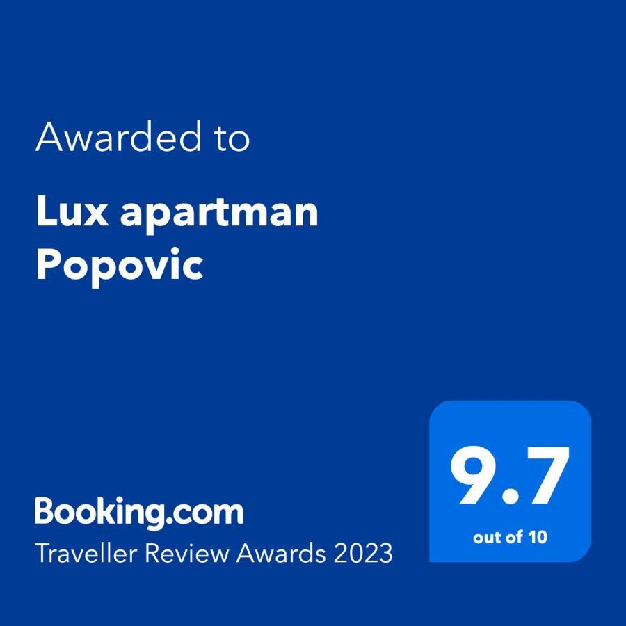 Lux Popovic Apartment